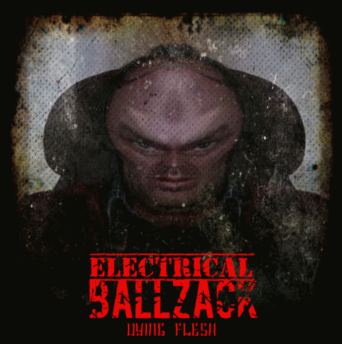 Electrical Ballzack : Dying Flesh